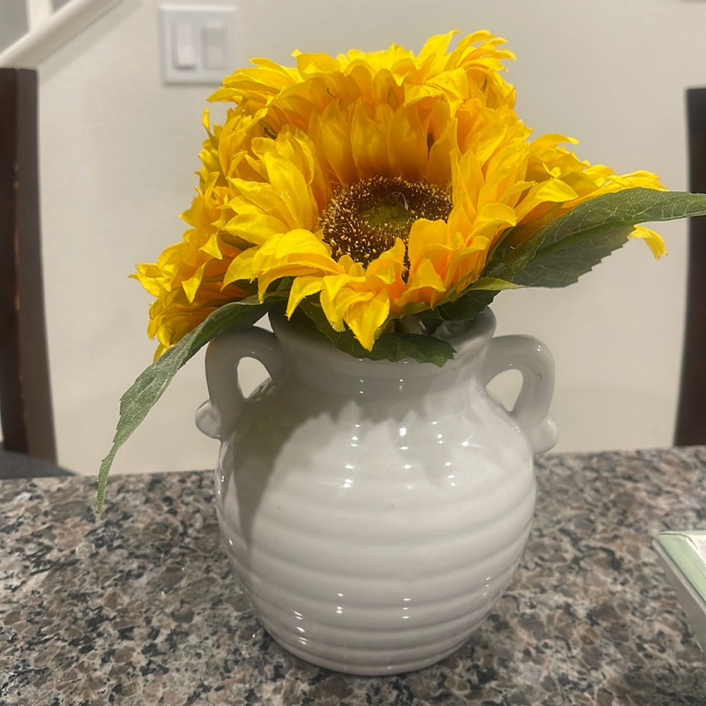 Girasol decor